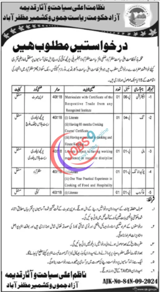 Tourism Archaeology and Museum Department Jobs 2024