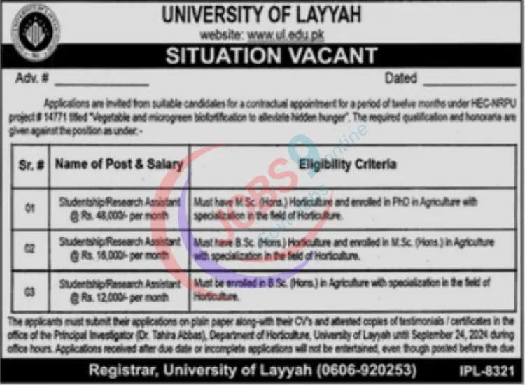 The University of Layyah Jobs 2024 Online Apply