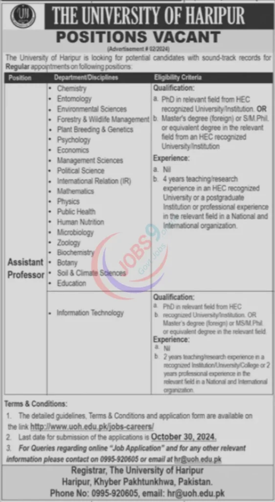 The University of Haripur Jobs 2024